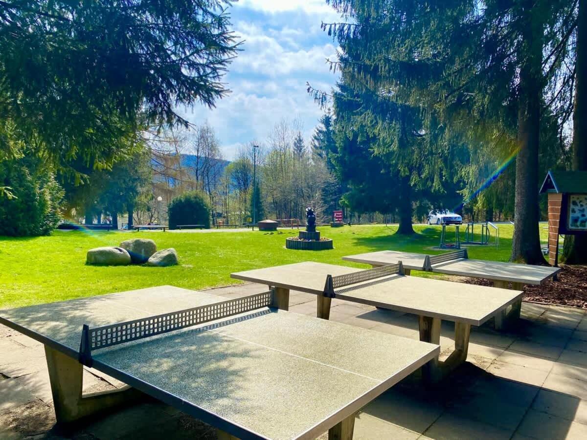 Relaxapartments Abendsonne Im Herzen Des Harzes - Ein El Dorado Fuer Wanderer, Biker Und Ruhesuchende - Mit Sonnigem Balkon Und Platz Fuer Bis Zu 3 Personen Goslar Exteriör bild